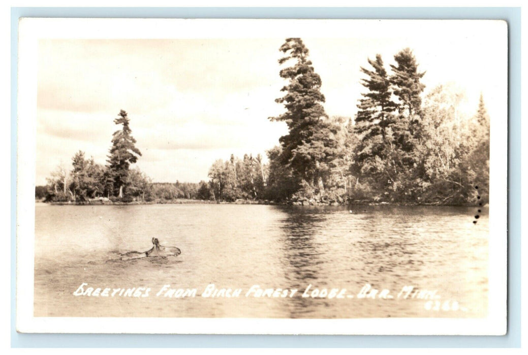 c1930's Greetings From Birch Forest Lodge Orr Minnesota MN RPPC Photo Postcard