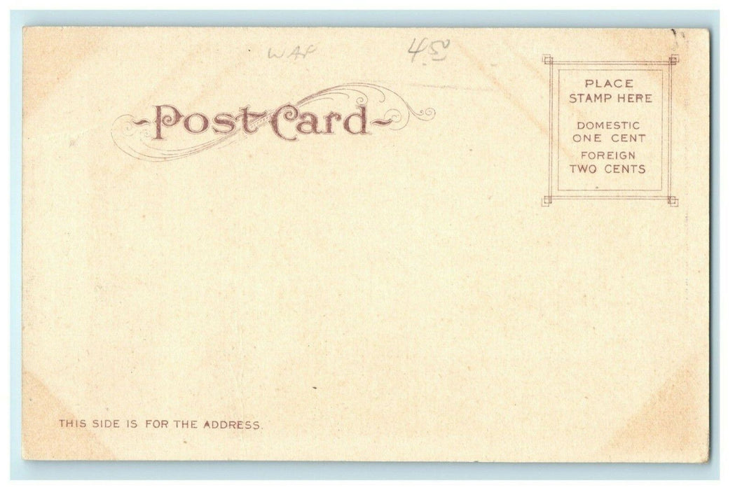 c1905 Arch Rock Catalina Island California CA Unposted Antique Postcard