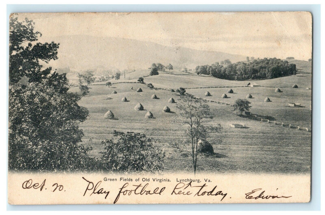 1906 Green Fields of Old Virginia Lynchburg VA Football Posted Antique Postcard