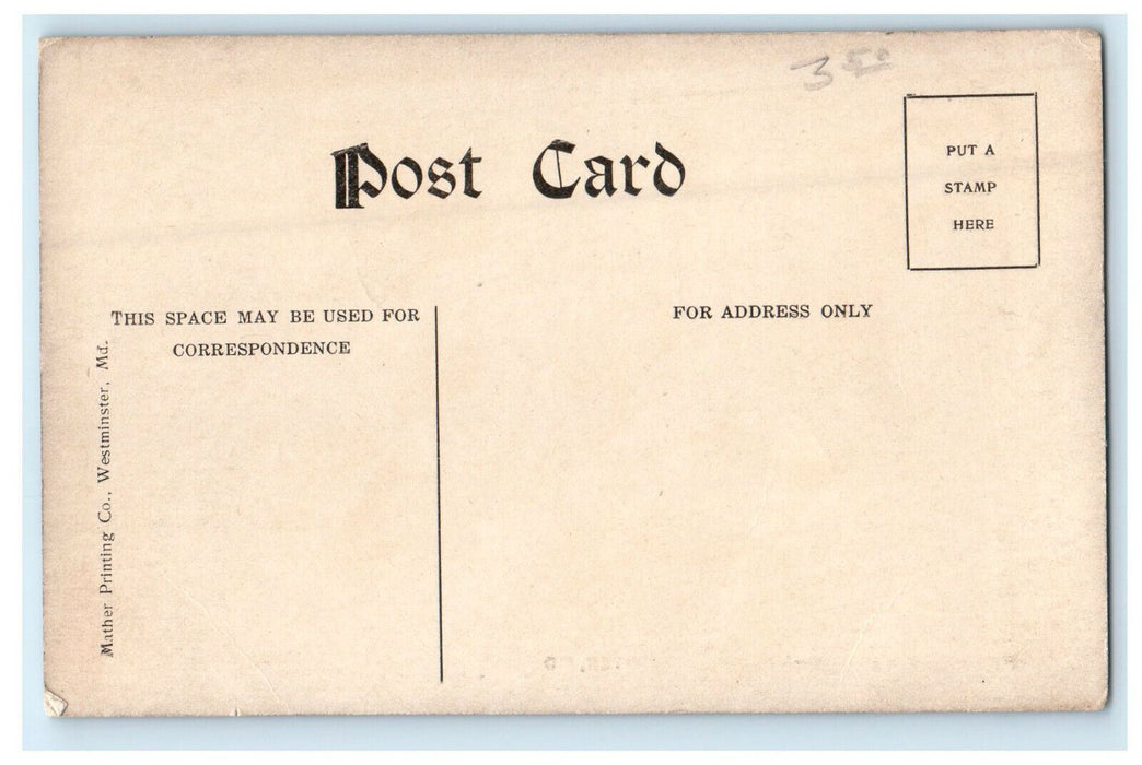 c1910s Freak of Nature Near Westminster Maryland MD Antique Unposted Postcard