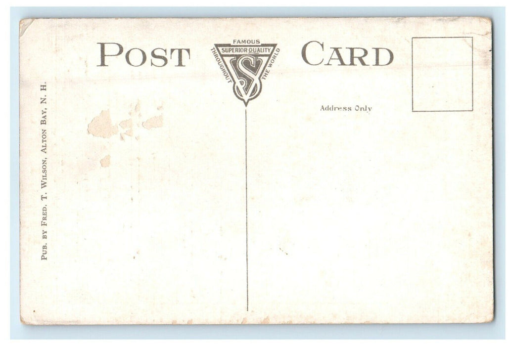 c1910's Steamboat Landing Alton Bay Lake Winnipesaukee New Hampshire NH Postcard
