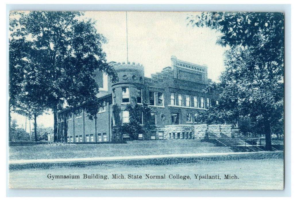 1908 Gymnasium Michigan State Normal School MI Ypsilanti Antique Postcard
