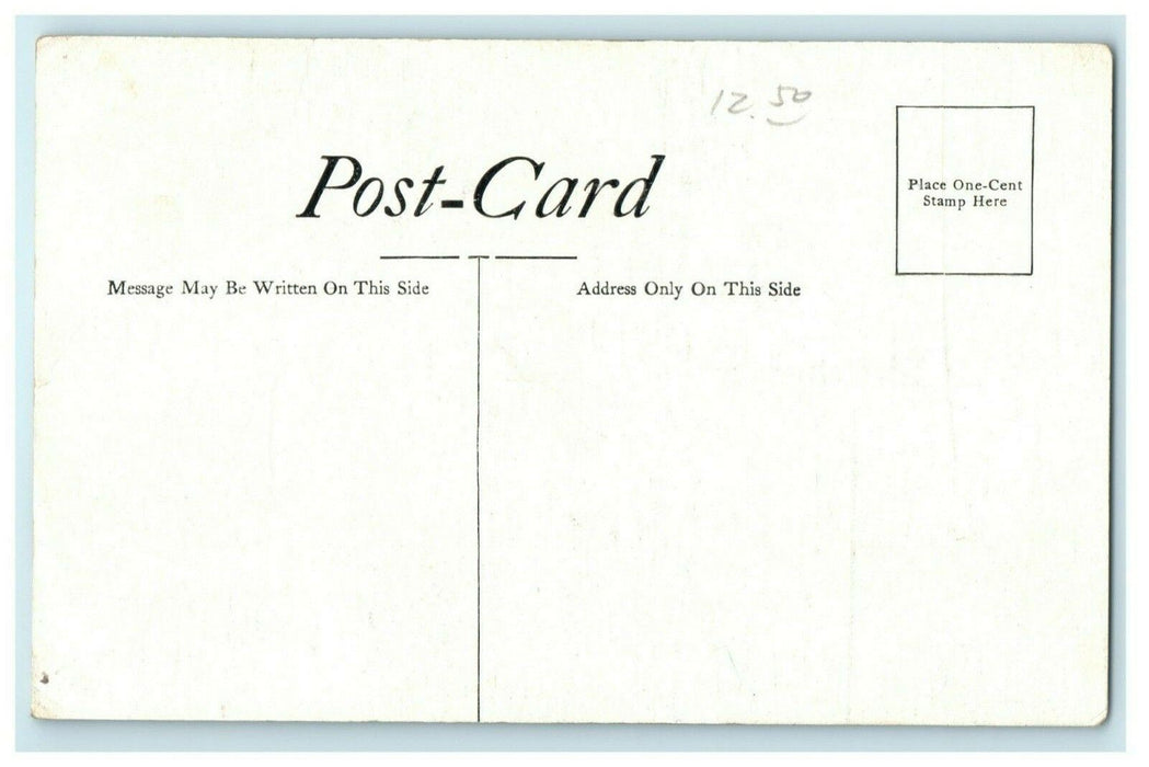 c1910 Curtis Publishing Company Philadelphia Advertising Building Postcard