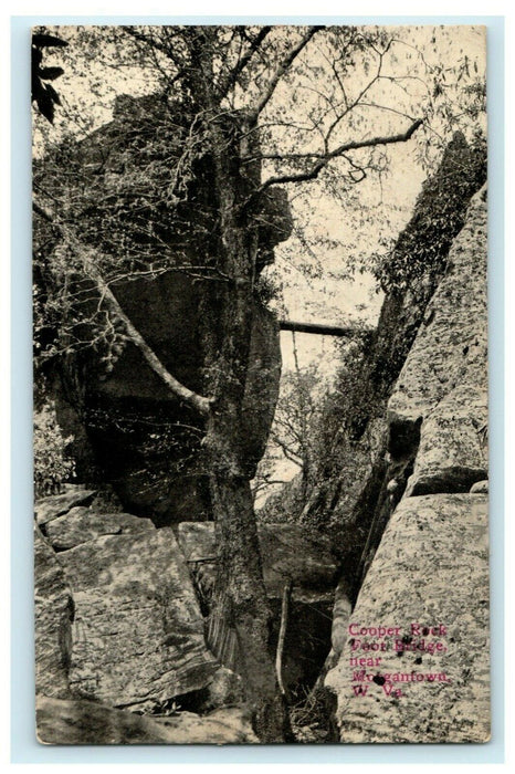 c1910 Cooper Rock Foot Bridge Morgantown West Virginia WV Antique Postcard