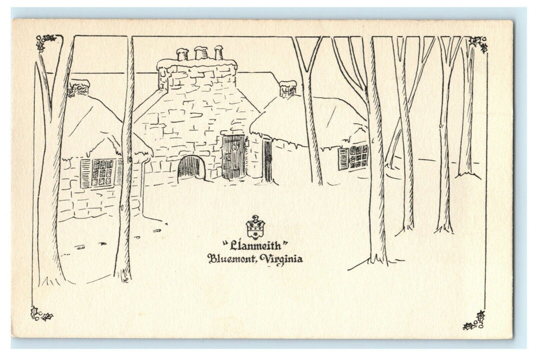 Vintage Llanmeith Bluemont Virginia VA Cottage Unposted Postcard