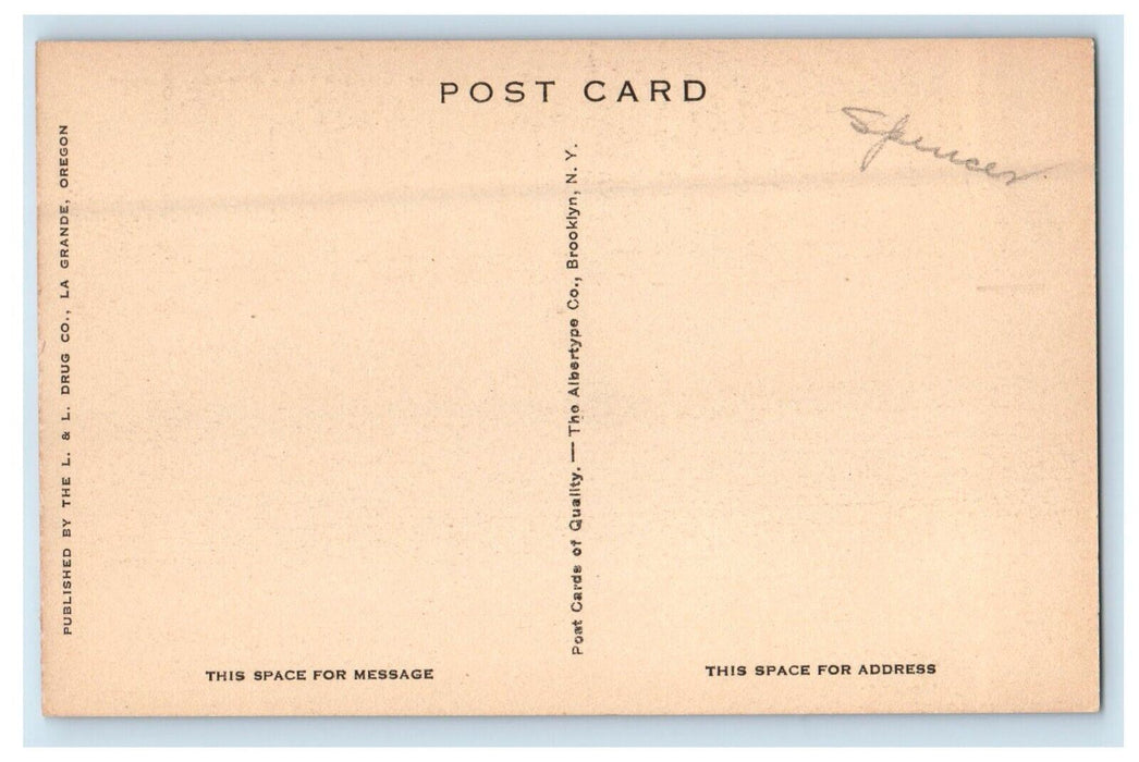 View Of Presbyterian Church La Grande Oregon OR Unposted Antique Postcard