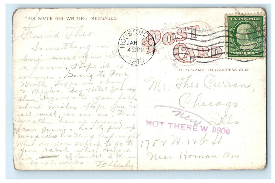 1910 Scientific Farming in Texas TX Antique Posted Postcard