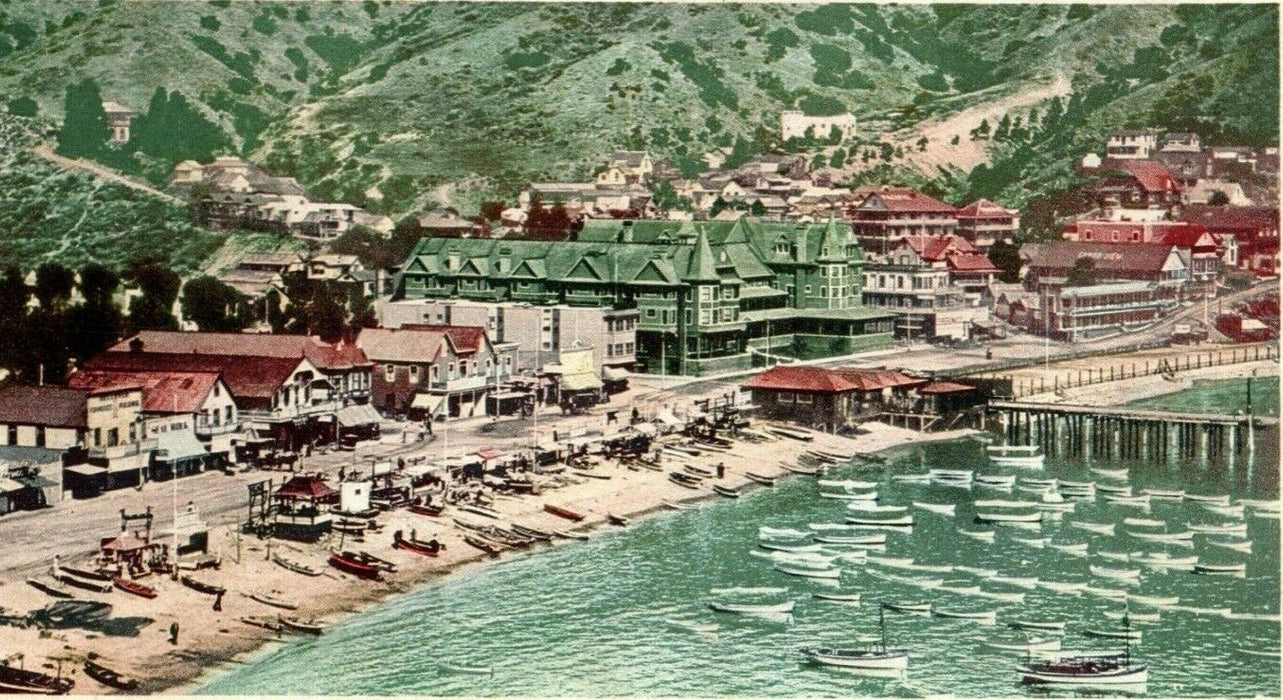 1904 Hotel Metropole and Beach Catalina Island California CA Antique Postcard