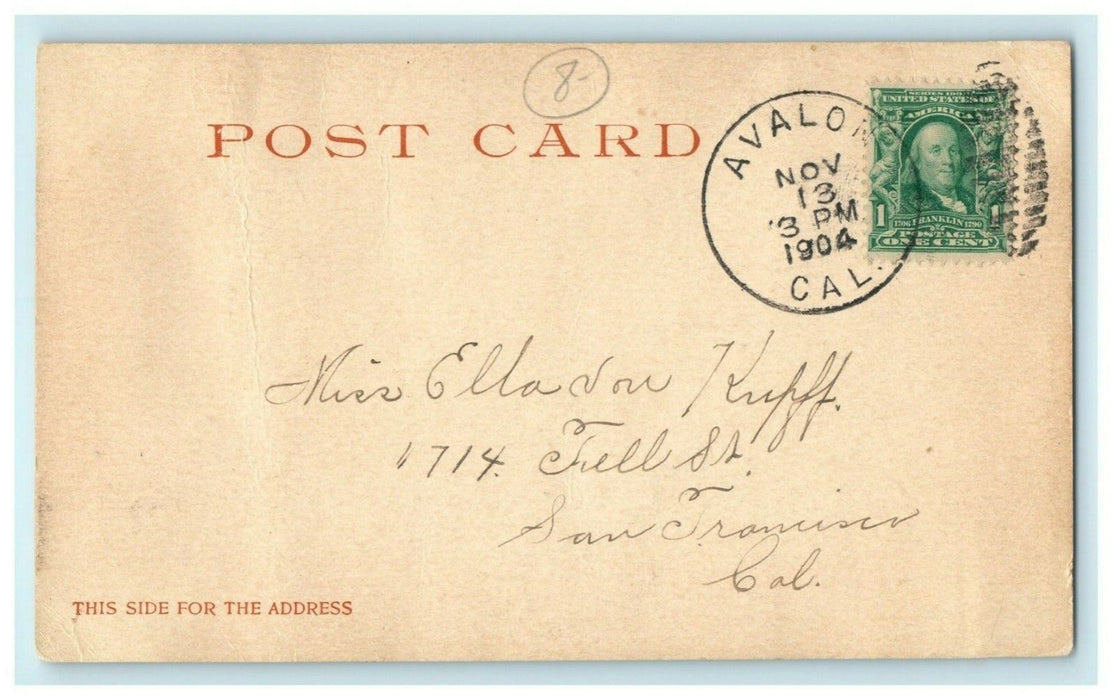 1904 Hotel Metropole and Beach Catalina Island California CA Antique Postcard
