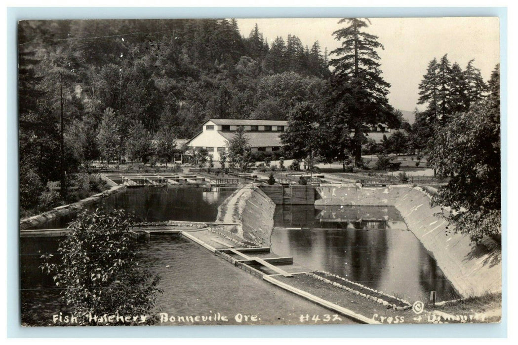 c1910's Fish Hatchery Bonneville Oregon OR RPPC Photo Antique Postcard