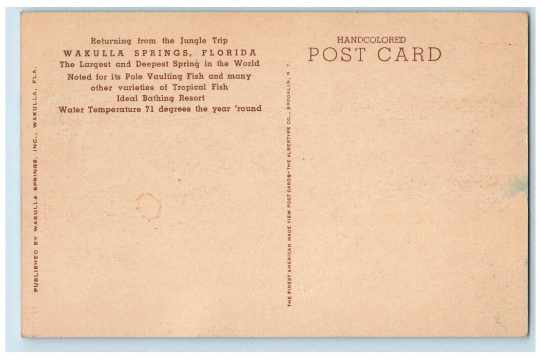 c1920 Jungle Trip Largest and Deepest Spring Wakulla Springs Florida FL Postcard
