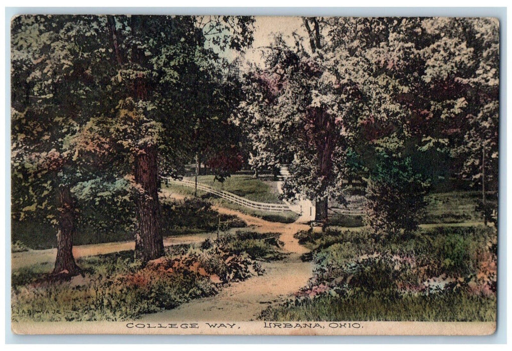 c1909 College Way Trees Park Road Urbana Ohio Vintage Antique Posted Postcard