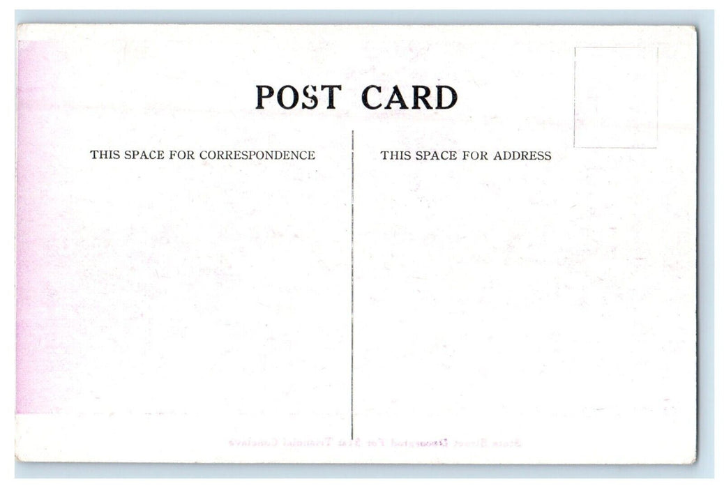 c1910's State Street Decorated For 31st Triennial Conclave Chicago IL Postcard
