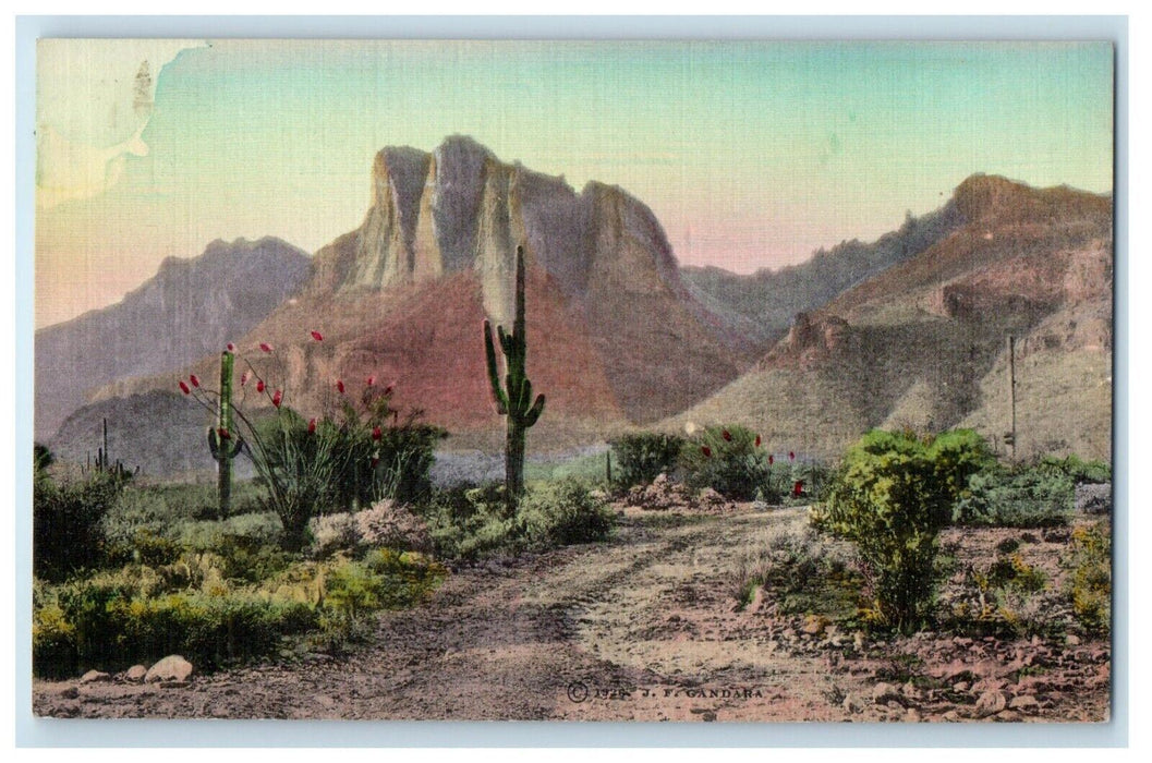 The Purple Trail Superstition Mountains Arizona AZ, Cactus Handcolored Postcard