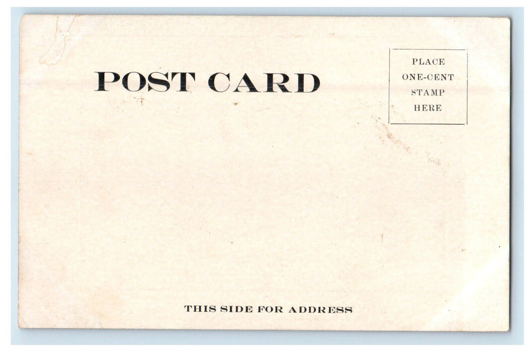 c1905 Boy's Christian League Ponies Hartford City Indiana IN Antique Postcard
