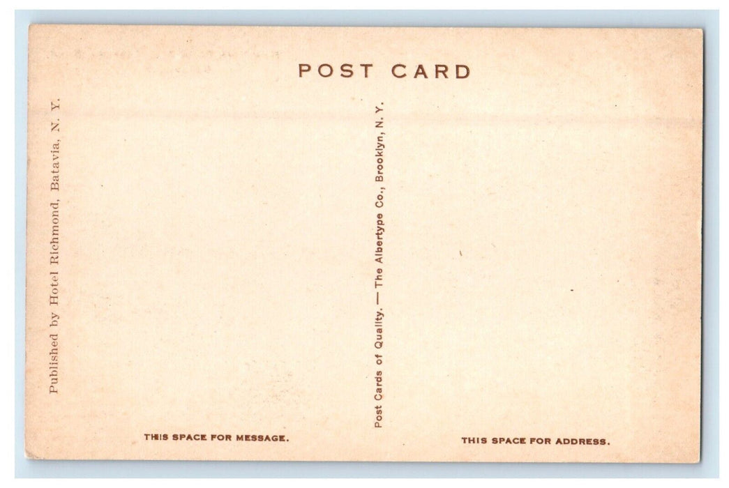 New York State School Building Campus For The Blind Batavia NY Antique Postcard