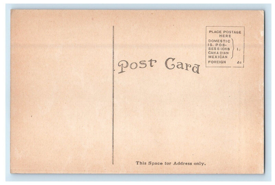 c1910's Looking South Hazelden George Ade's Home Brook Indiana IN Postcard