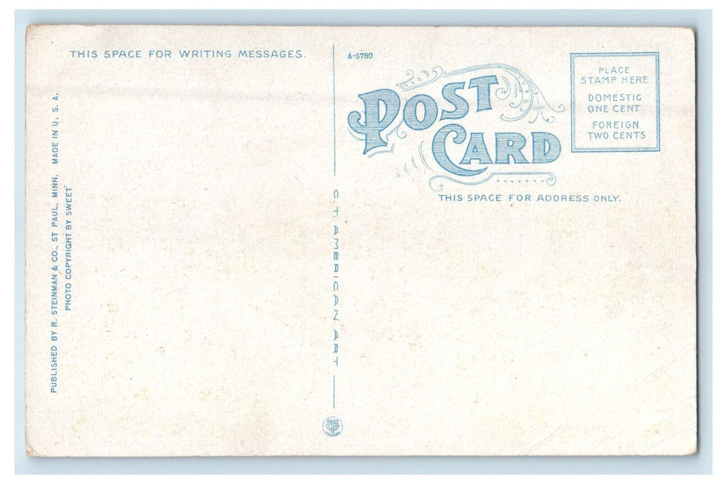 c1930s Como Station, Como Park St. Paul Minnesota MN Vintage Postcard