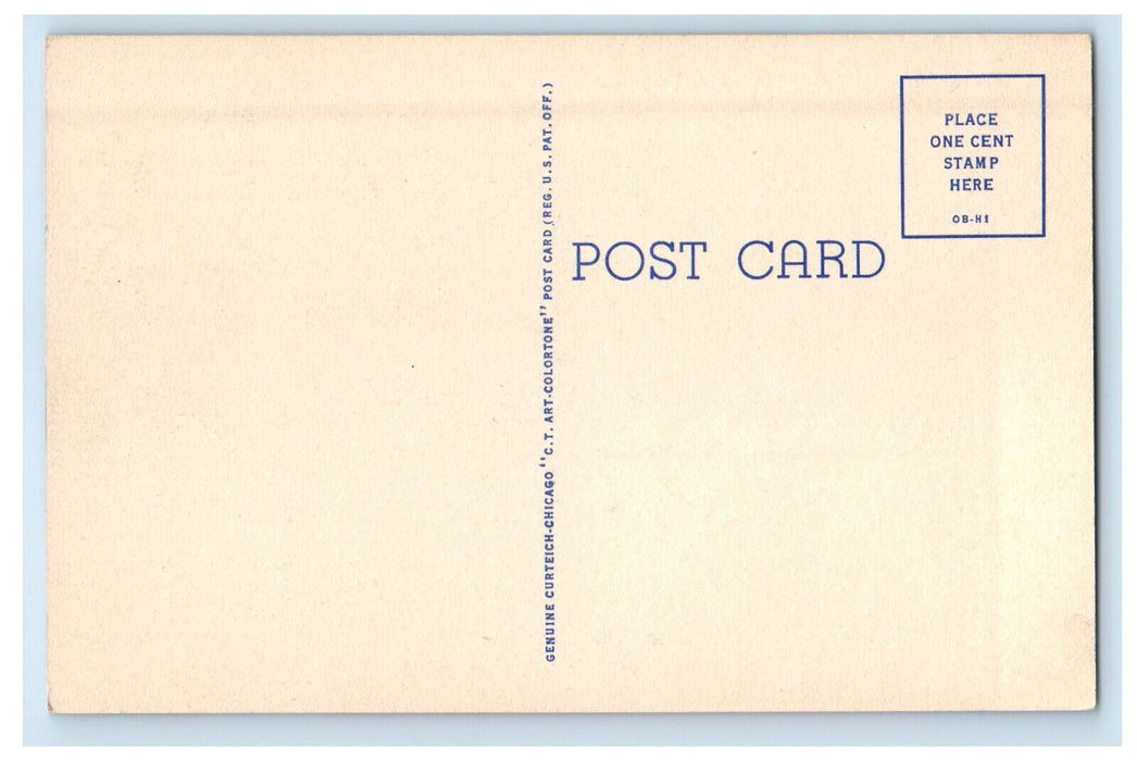 c1950s The Fisherman's Paradise, Greetings from Wisconsin WI Unposted Postcard