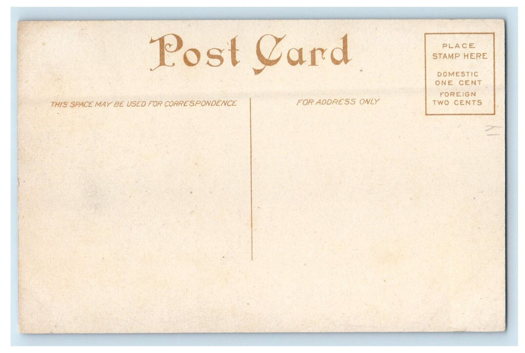c1910 Barnard's Sanitarium, Martinsville Indiana IN Unposted Antique Postcard