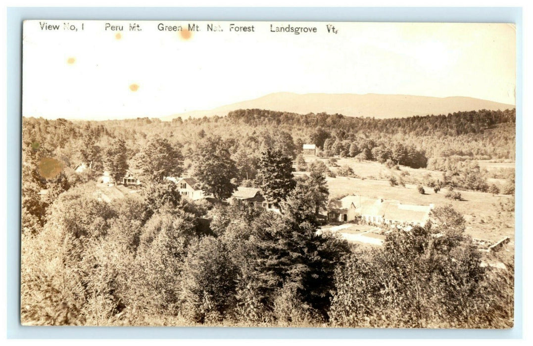 View No. 1 Peru Mt. Green Mt. Nah Forest Landsgrove Vermont 1942 RPPC Postcard