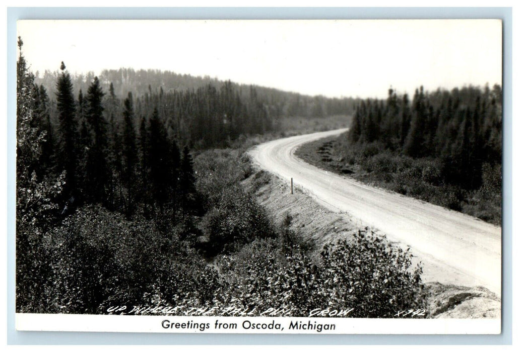 Greetings From Oscoda Michigan MI, Curve Road View RPPC Photo Unposted Postcard