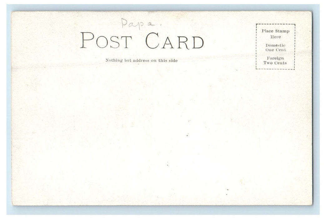 c1910 Horse Carriage, Polk Street Depot, Chicago Illinois IL Unposted Postcard