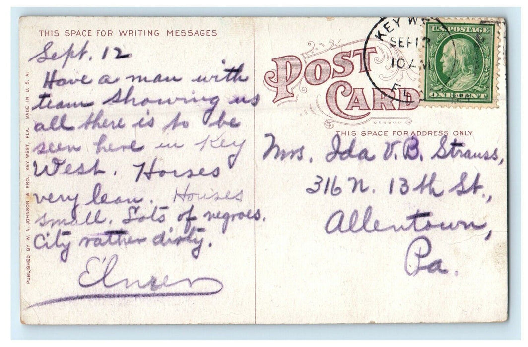 c1910 East India Giant Banyan Tree Key West Florida FL Posted Antique Postcard
