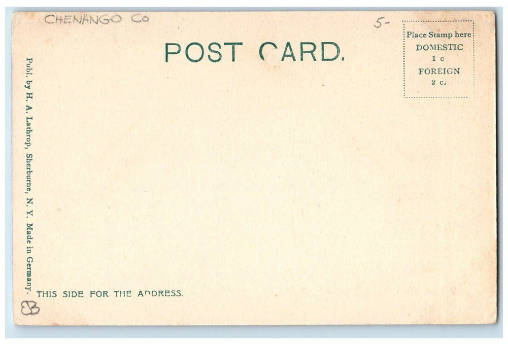 c1905 South Main Street View Statue Church Sherburne New York NY Postcard