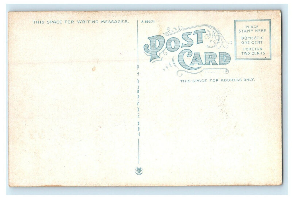 1912 The Pier and Beach Old Orchard Maine Antique Unposted Postcard