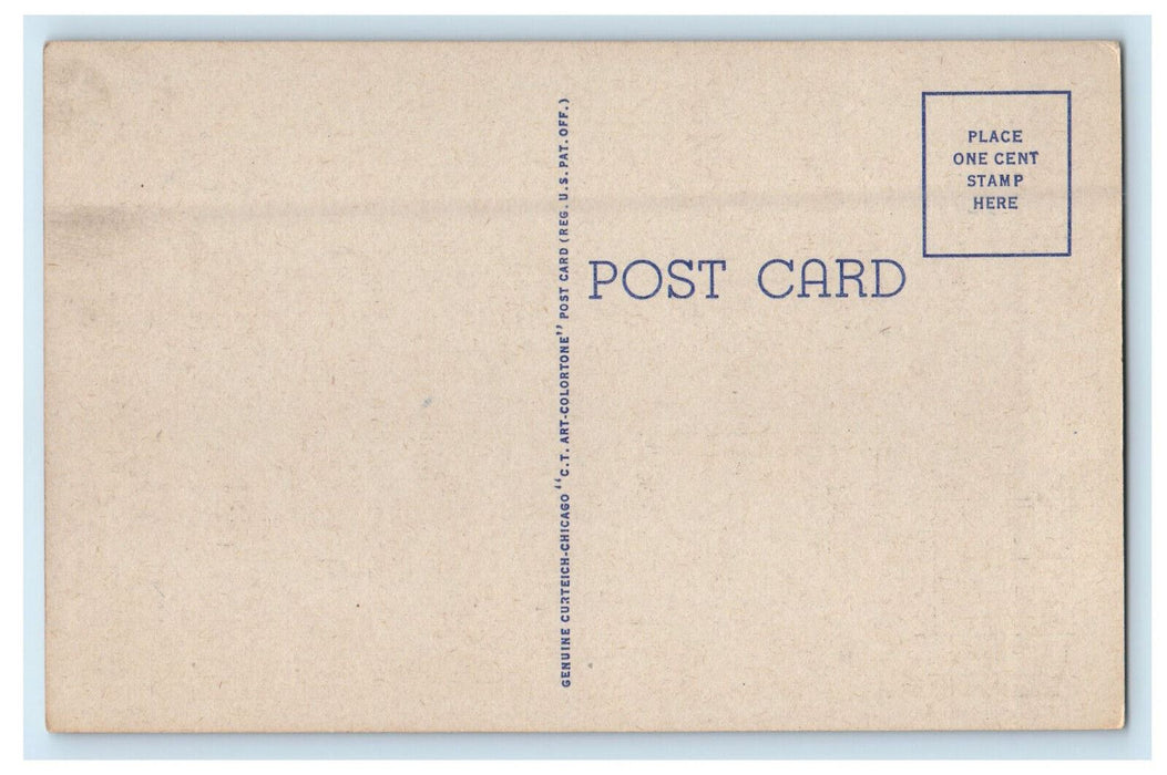 c1950s Barnhouse, Cows, Big Letters Greetings from Wisconsin WI Vintage Postcard