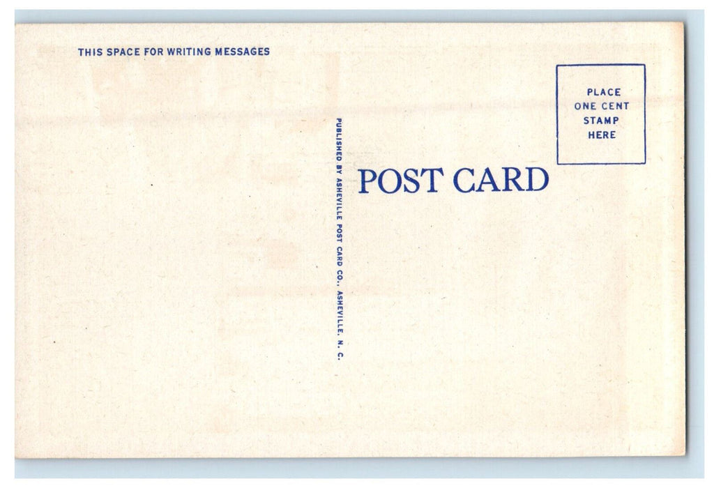 c1930s Night-Time of Main Street Columbia South Carolina SC Posted Postcard