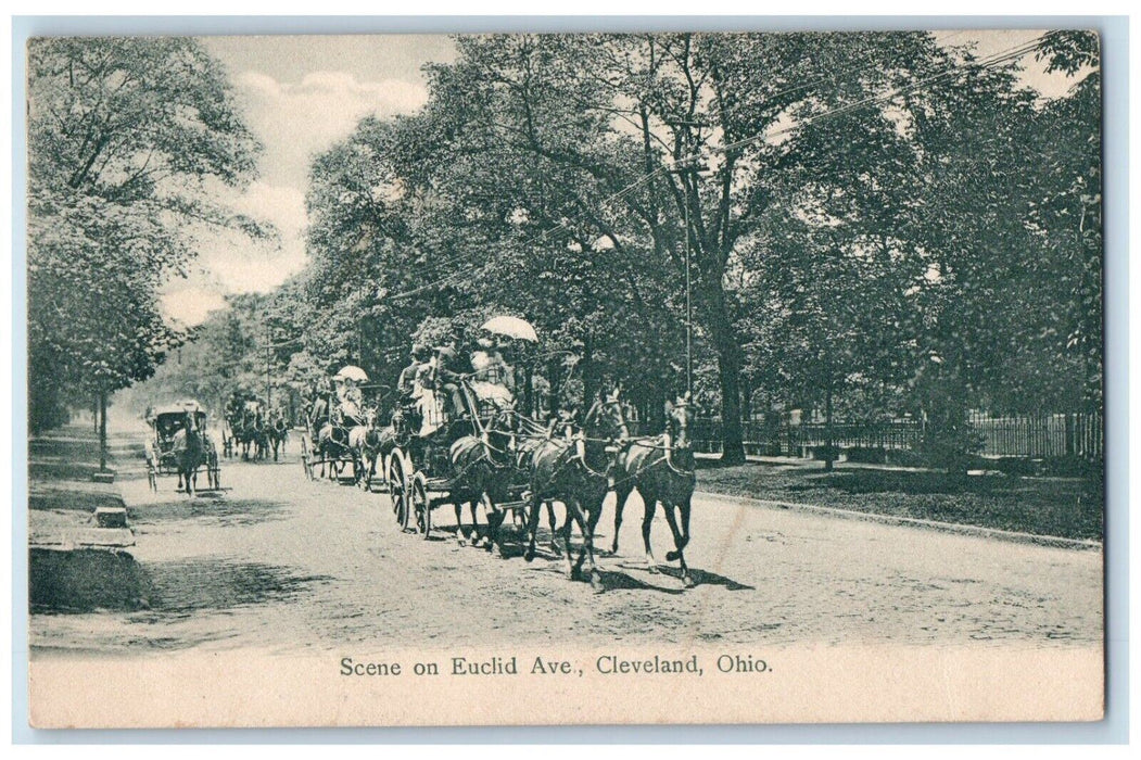 c1905 Scene On Euclid Avenue Horse Carriage Cleveland Ohio OH Antique Postcard