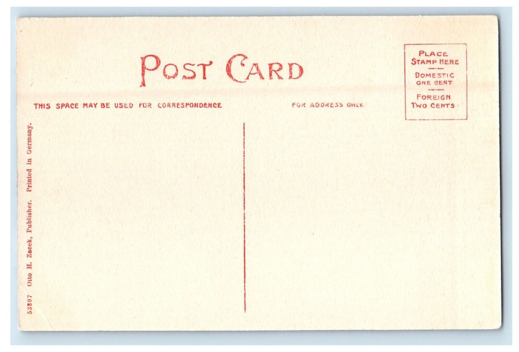 c1910's Main Street View West Point Nebraska NE Unposted Antique Postcard