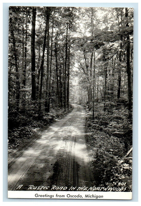 Greetings From Oscoda Michigan MI, Rustic Road In Northwoods RPPC Photo Postcard