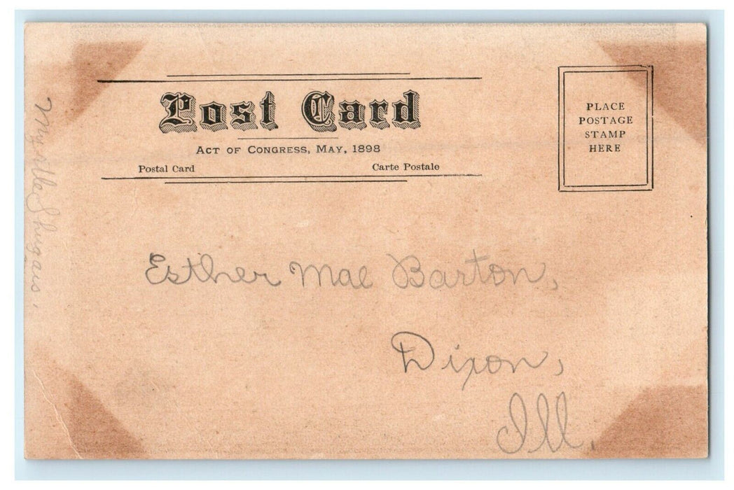 c1905 Bloomington Illinois IL, Wesleyan University Building Antique Postcard