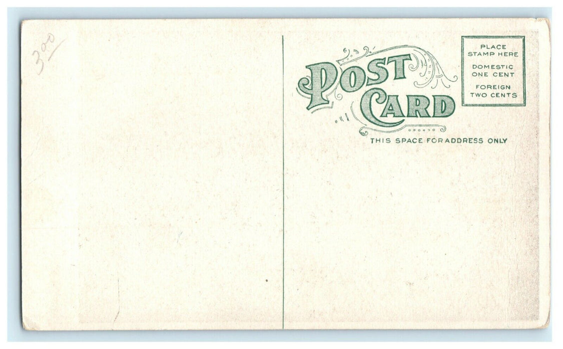 c1910 May Vokes Matilda When Dreams Come True Chicago Show Advertising Postcard