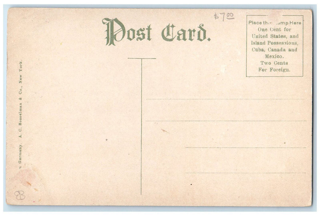 c1910 Horse Carriage Store, Opera House, Pearl Street New London WI Postcard