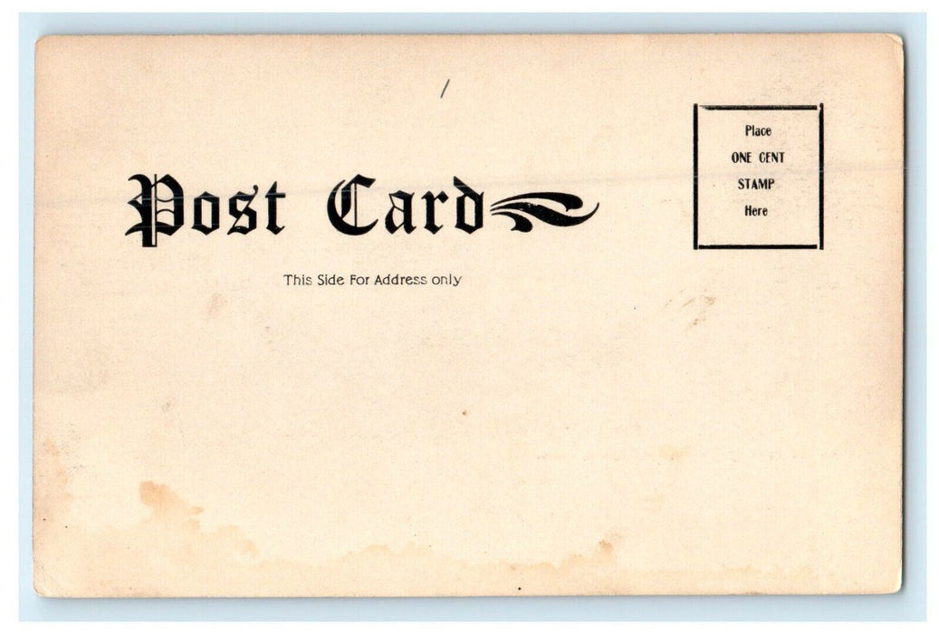 1905 Museum of Science, Springfield Massachusetts MA Unposted Postcard