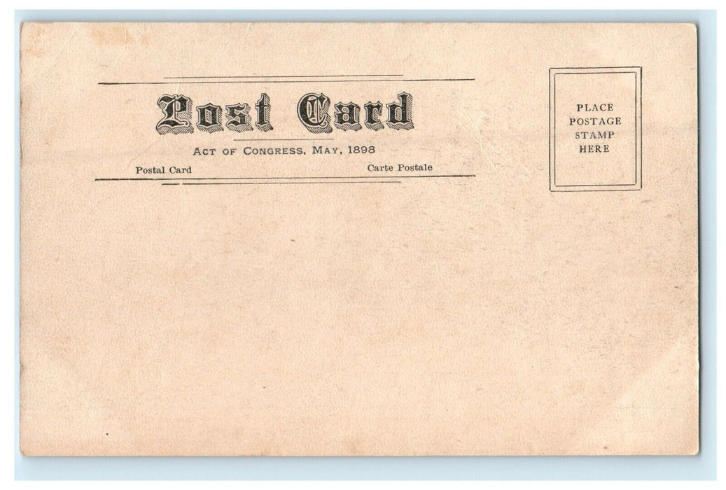 c1905 Miller Park Lake Boat House Bloomington Illinois IL Antique Postcard