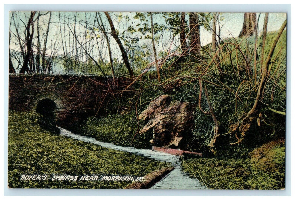 1908 Boyer's Springs Near Morrison Illinois IL Posted Antique Postcard