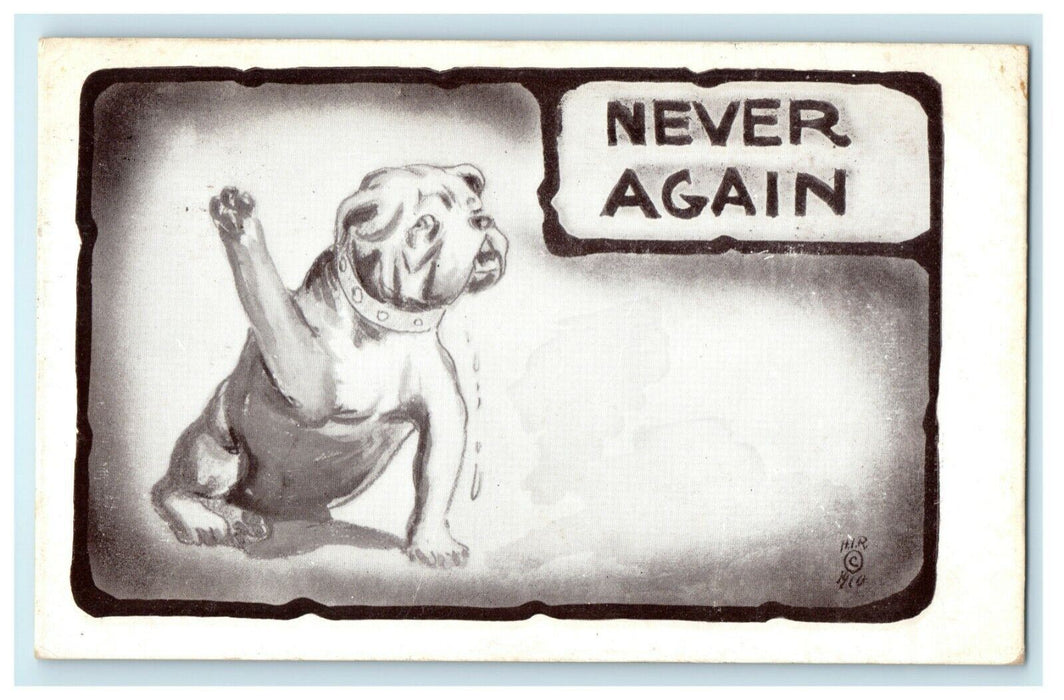 1911 Never Again Crying Dog McFarland Wisconsin WI Comic Humor Funny Postcard