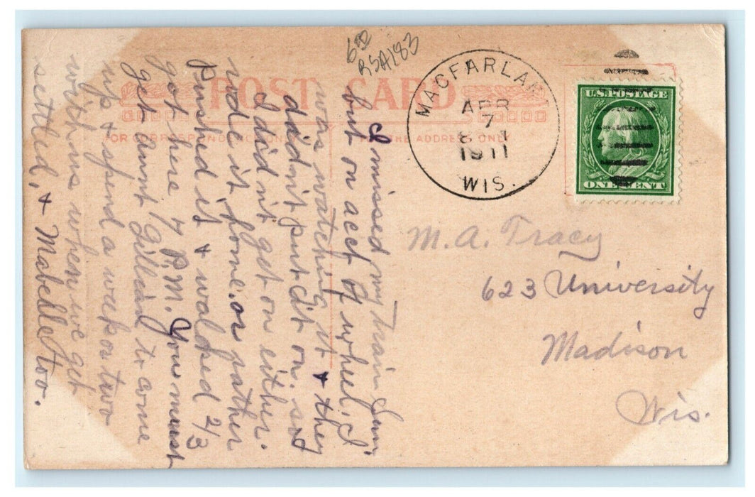 1911 Never Again Crying Dog McFarland Wisconsin WI Comic Humor Funny Postcard