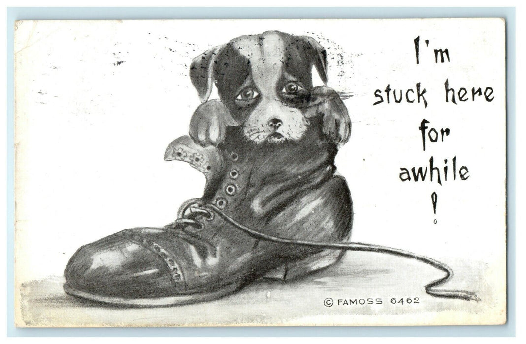 1910 Puppy Dog in Shoe Superior Wisconsin WI Comic Humor Funny Postcard