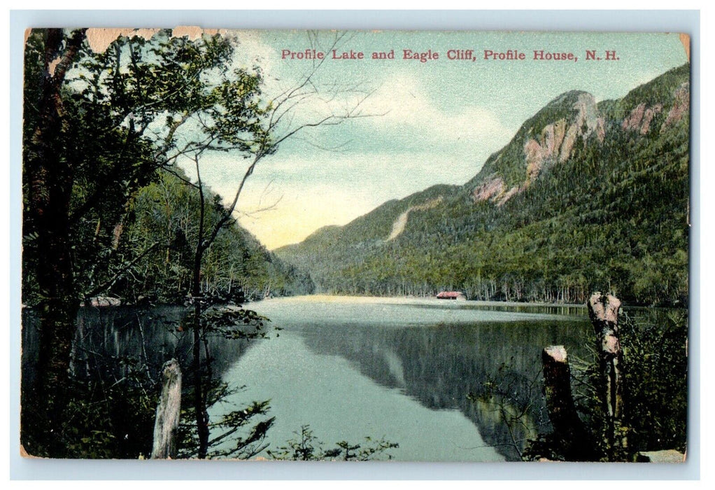 A View Of  Profile Lake And Eagle Cliff Profile House New Hampshire NH Postcard