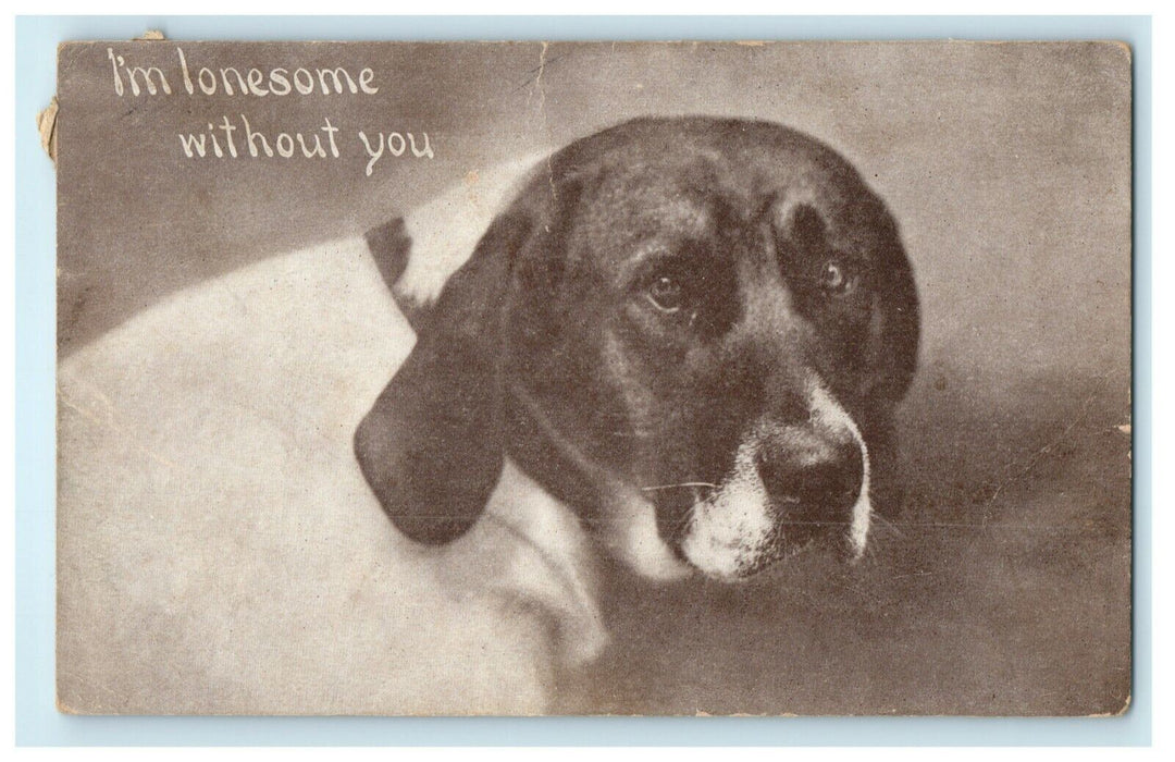 1911 Lonely Dog Sebewaing Michigan MI Comic Humor Funny Postcard
