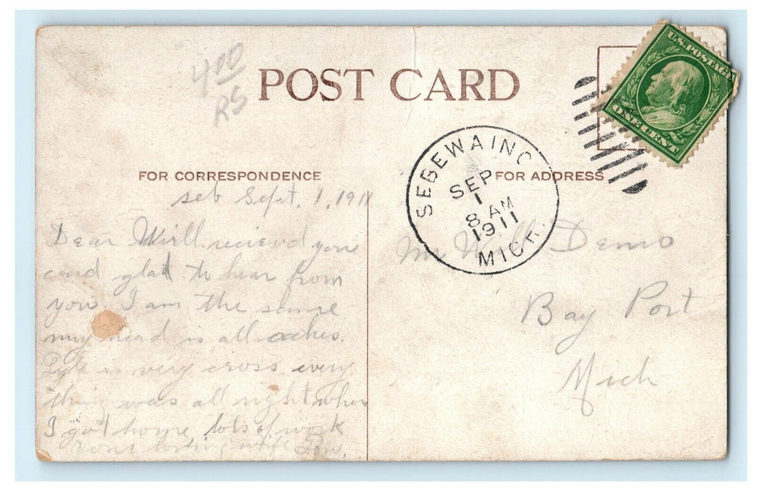 1911 Lonely Dog Sebewaing Michigan MI Comic Humor Funny Postcard