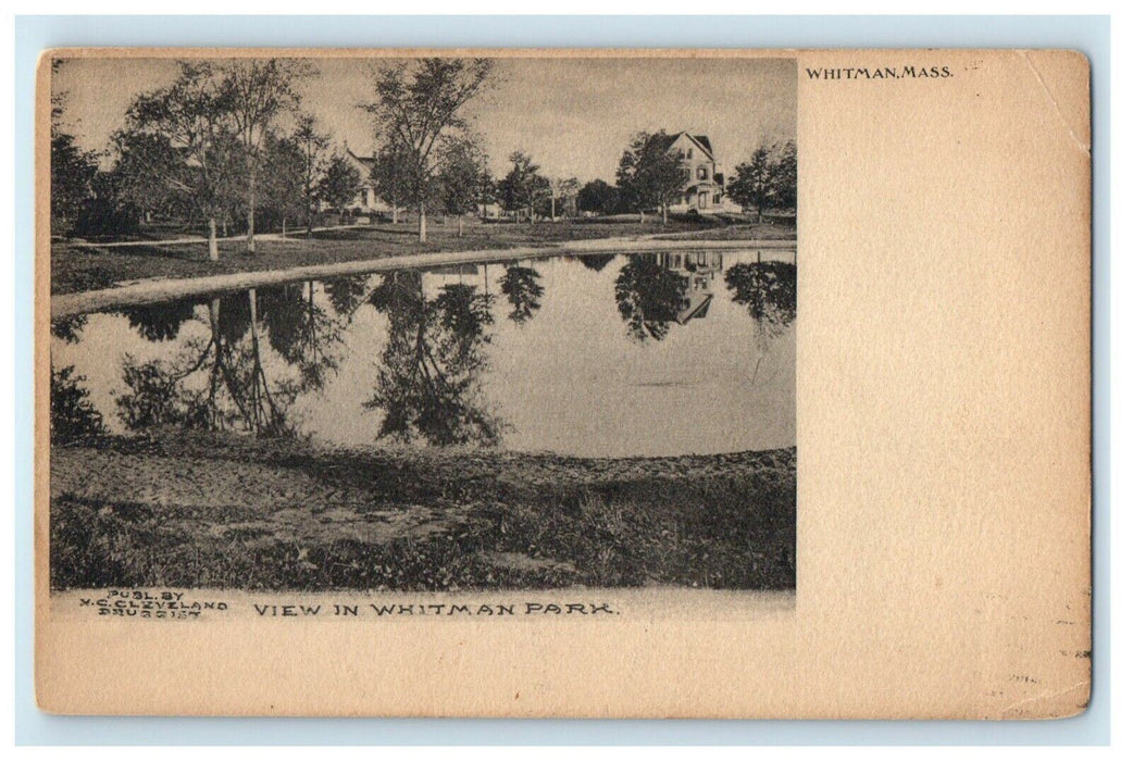 1906 Whitman Massachusetts MA, View In Whitman Park Undivided Back Postcard