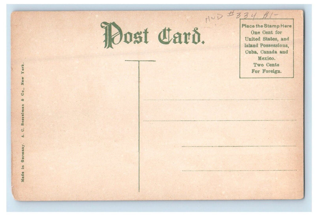 c1910's The Bright Grand View On The Hudson New York NY, Horse Carriage Postcard