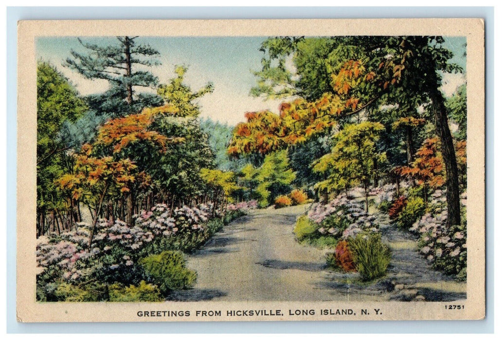 Greetings From Hicksville Long Island New York NY, Road View Postcard